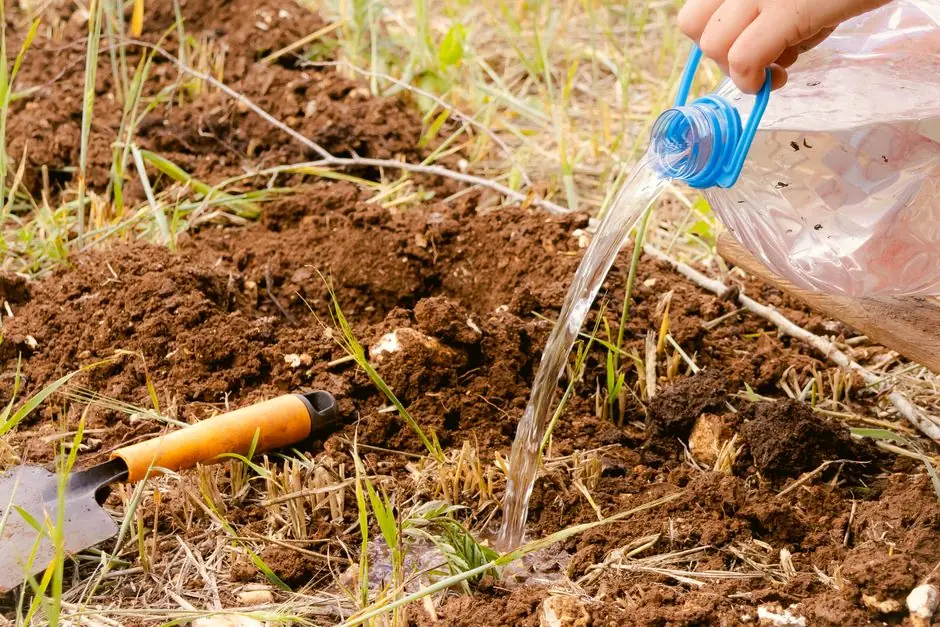 Arroser sans gaspiller l'eau