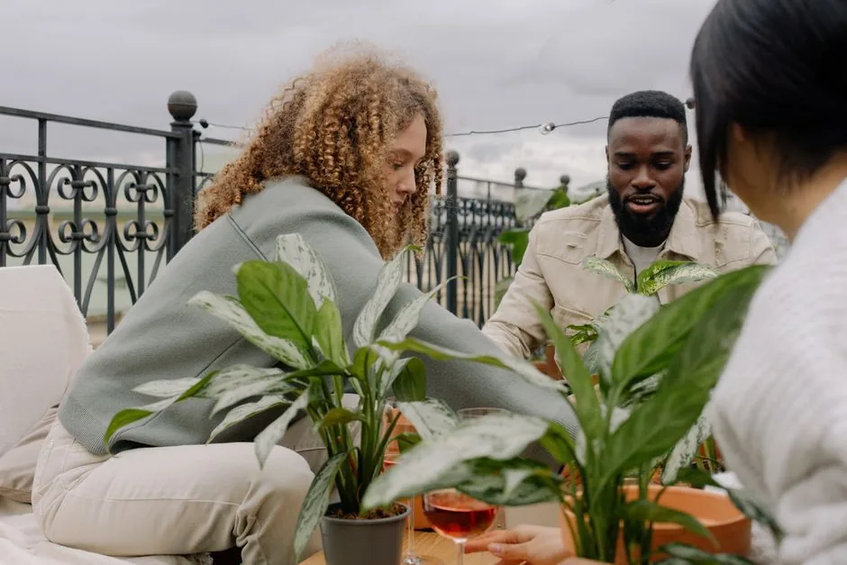 Le potager sur balcon en 5 étapes