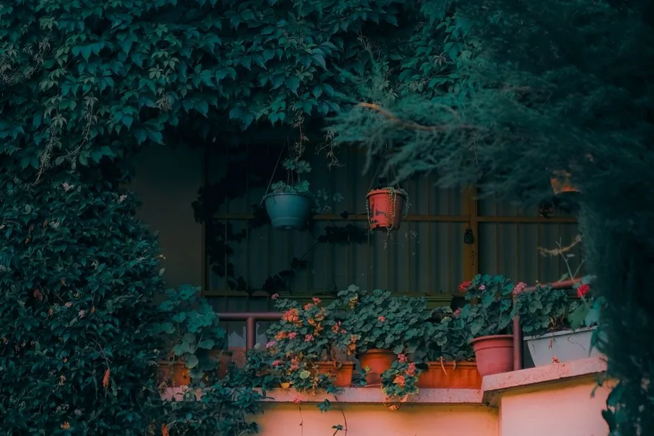 Le potager sur balcon en 5 étapes
